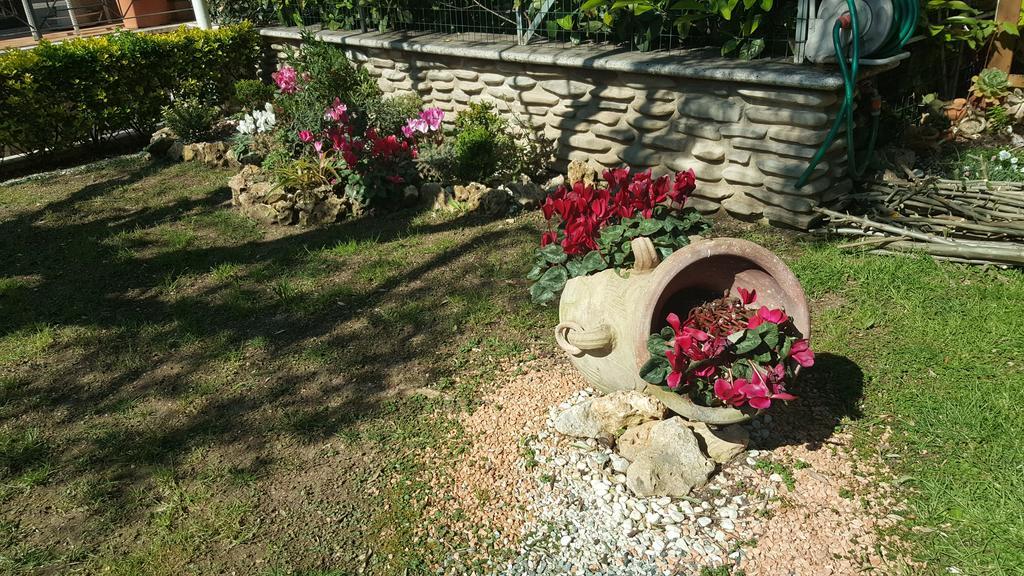 Aurelia Garden Gold