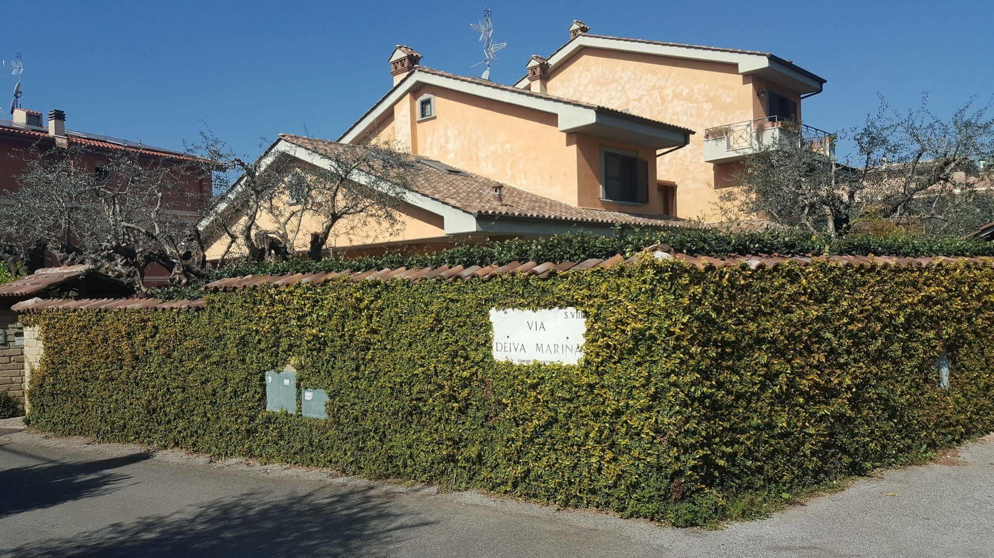 Aurelia Garden Gold Roma